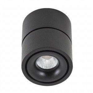 Deckenstrahler Ole 1 Schwarz 