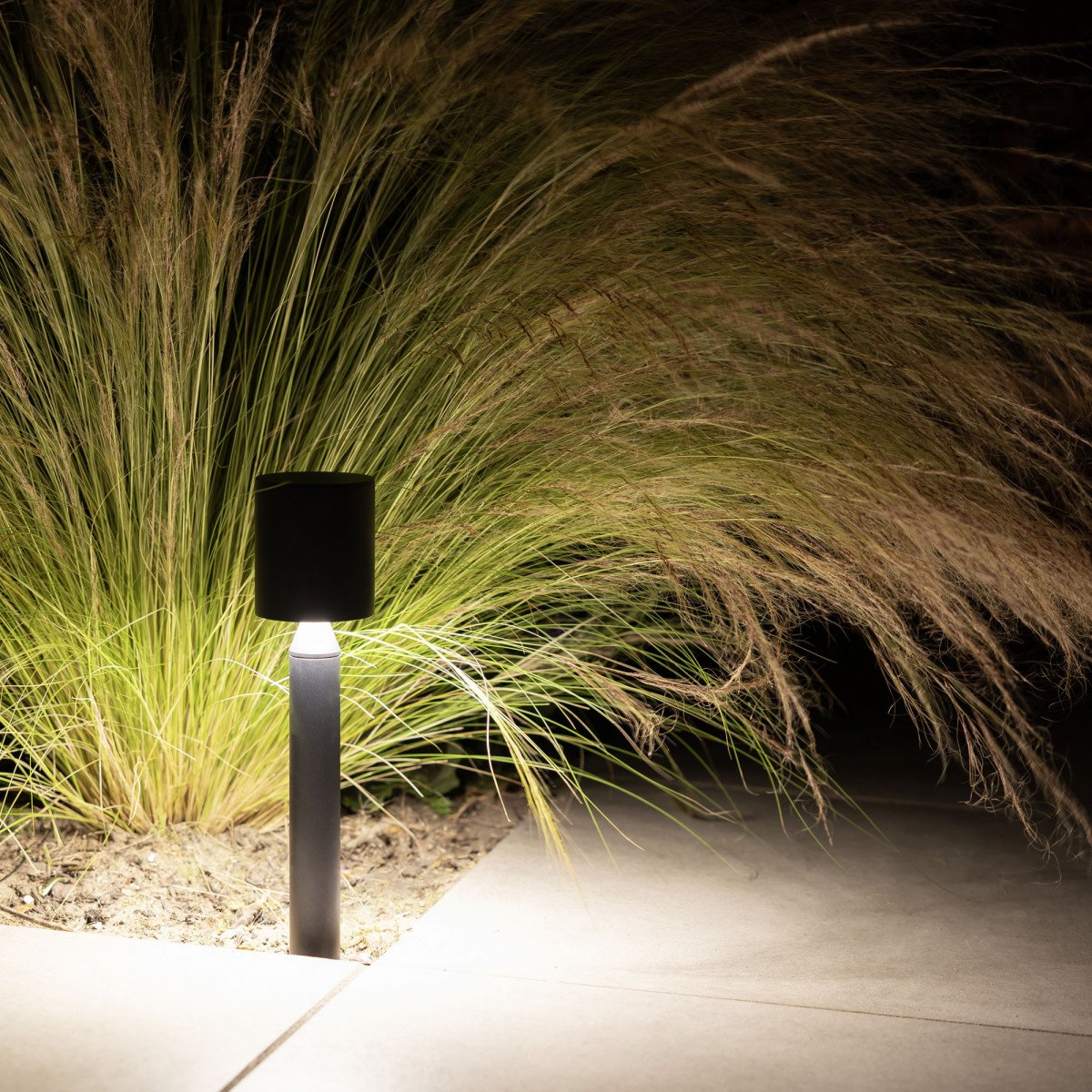 Issy Gartenlampe schwarz small bei Ziergras mit nach unten gerichtetem Licht