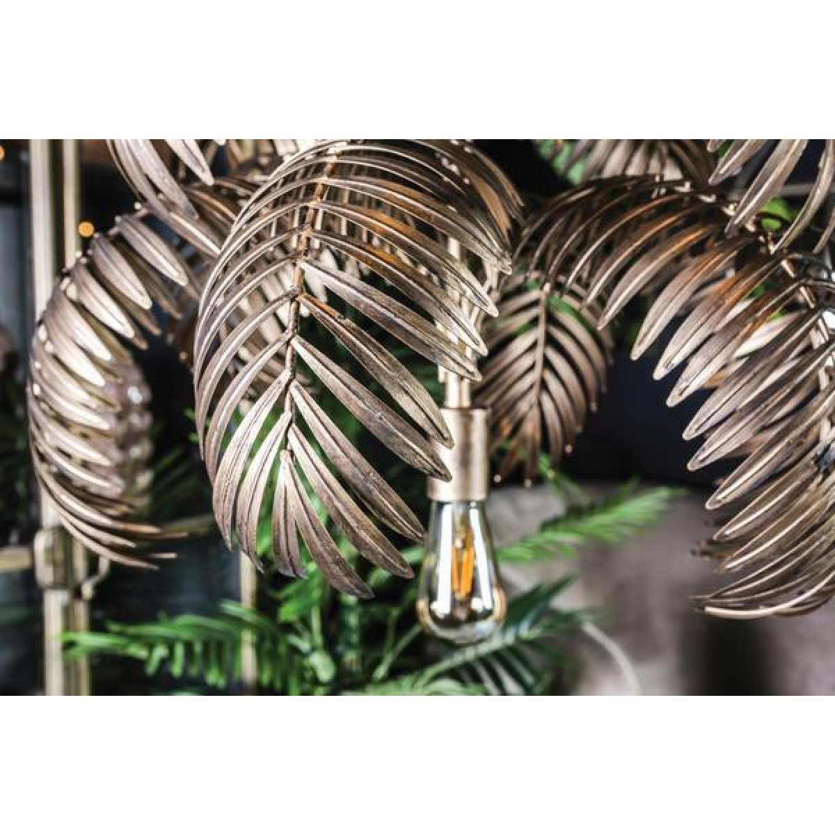 PTMD Salencia gold Palm