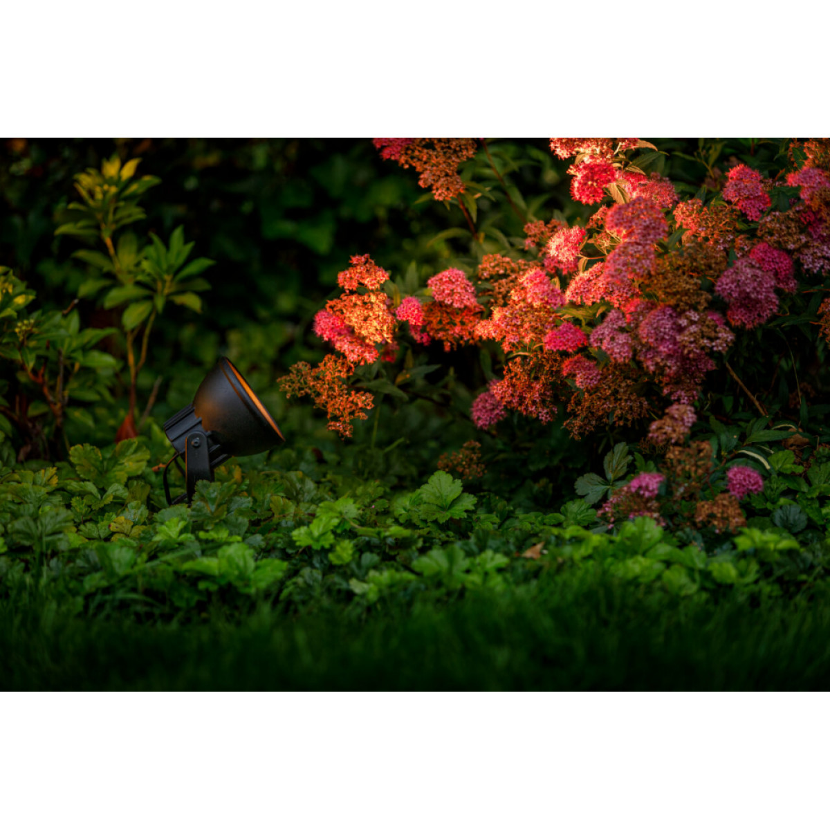 Gartenstrahler Raf 12Volt in der Farbe schwarz von KS Beleuchtung  