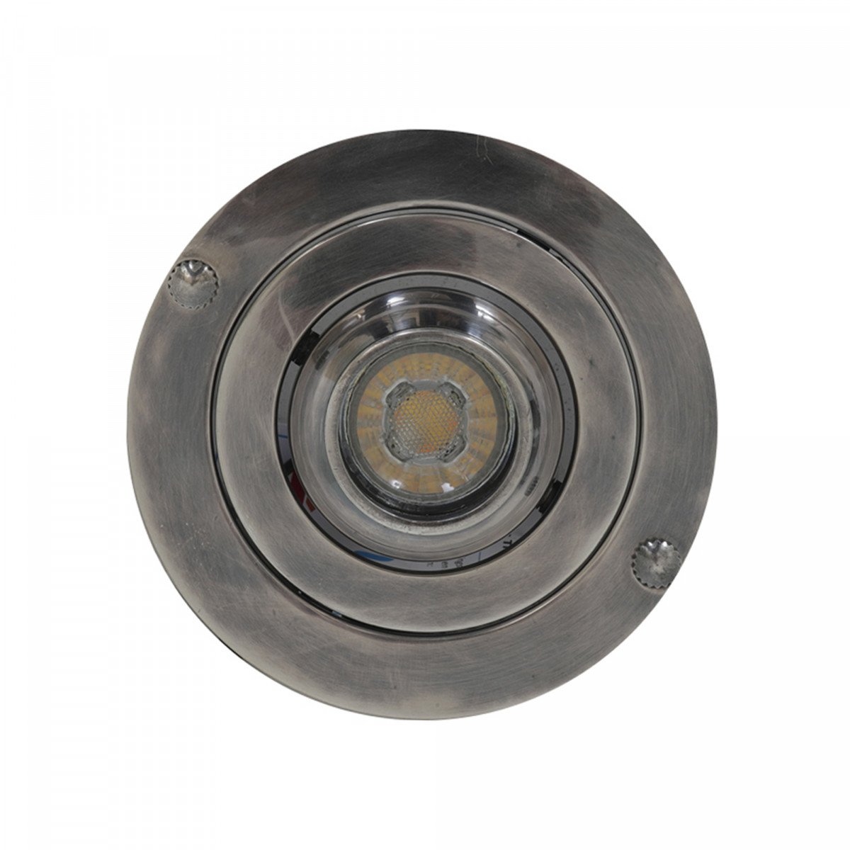 Deckenspot Ariel Silber