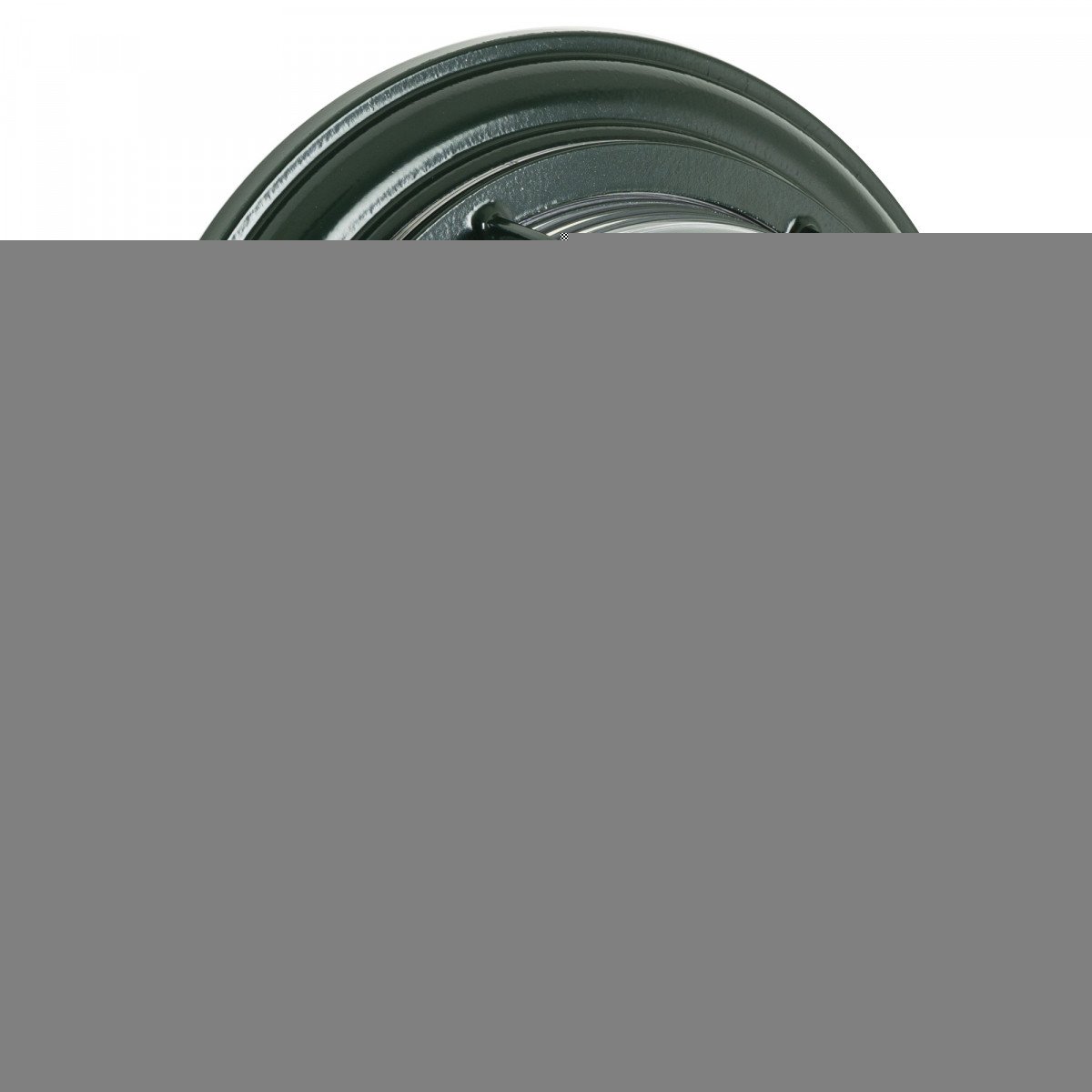 Wand- und Deckenleuchte Geneve L Grün