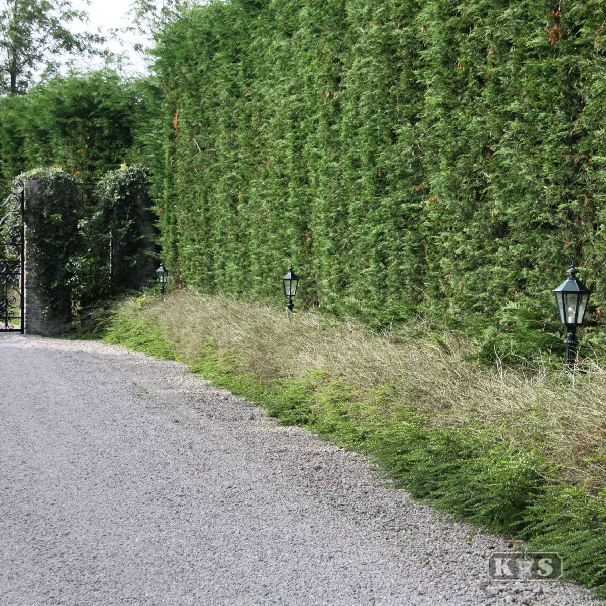 Klassische Gartenlaterne Koblenz